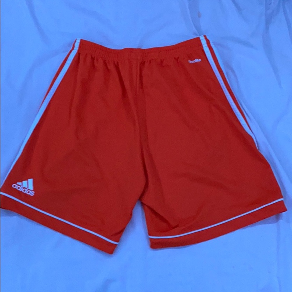 Shorts - Picture 2 of 2